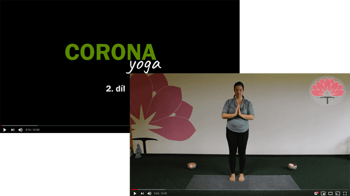 Lotus yoga videa